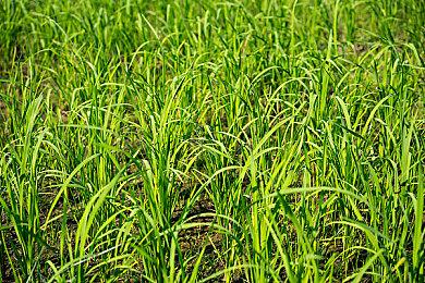 《暗黑4》S6 PTR测试服上线 开荒视频和神话暗金展示