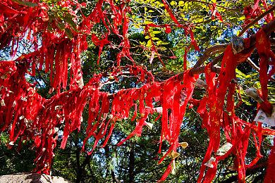 《哥谭骑士》新预告 神秘恐怖的“猫头鹰法庭”出现